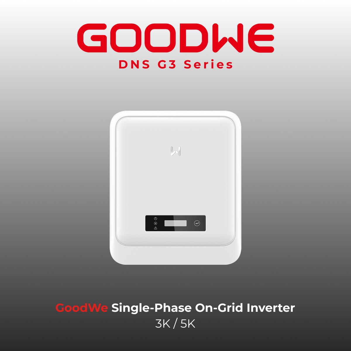 GoodWe DNS G3